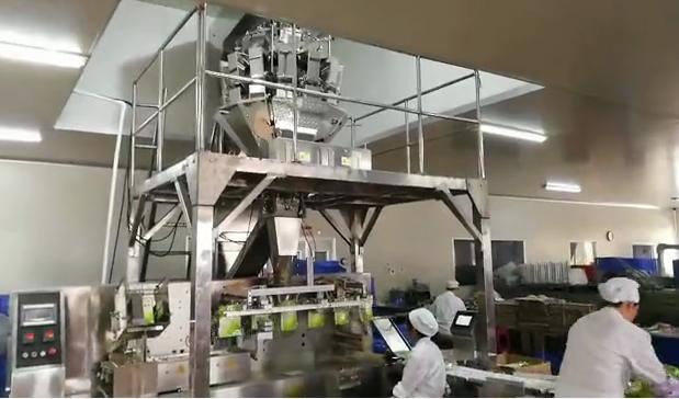 食品包裝機的組成部分和工作原理